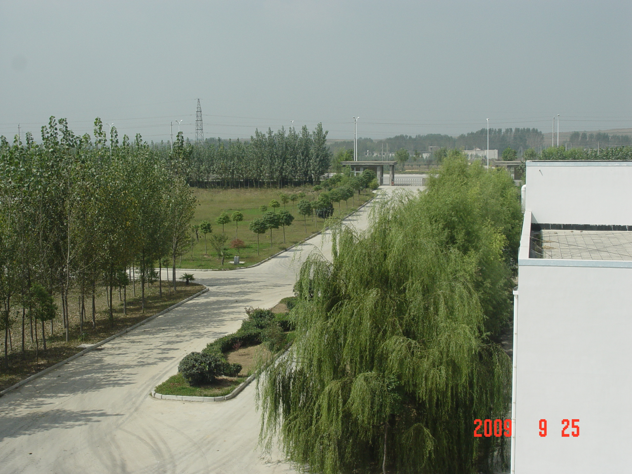 1683341756460440.jpg 30.JPG